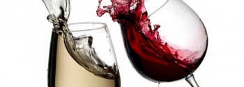 Il movimento del vino tra archetti e lacrime: scopri