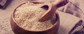 Quinoa: la madre di tutti i semi: scopri