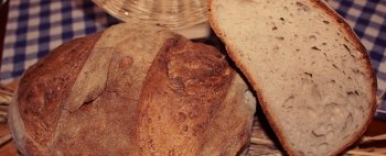 Finalmente il pane fresco molisano dagli antichi forni in consegna a casa tua: scopri