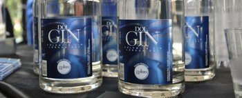 Zu Plun: il Dol Gin decretato il migliore gin 