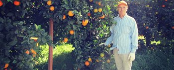 Vito Perricone e Carmela Cascio: la Sicilia passa dalle loro arance: scopri