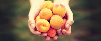 Arrivano i succhi di frutta biologici pieni di salute!: scopri
