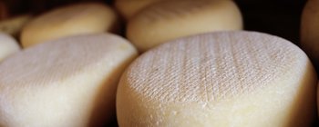 Pecorino romano: il formaggio DOP con oltre 2000 anni di storia: scopri