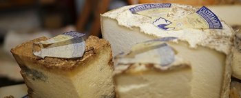 Castelmagno, nobile formaggio DOP della tradizione piemontese: scopri