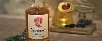 GrapeHeart, il gin al profumo di Amarone di Enjoy Valpolicella: scopri