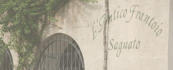 Scopriamo il brand Antico Frantoio di Saguato: la nostra intervista: scopri