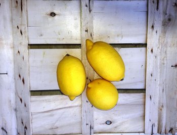 Limoni di Sicilia 1 kg