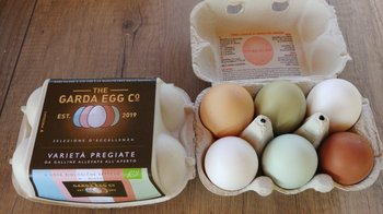 Uova colorate miste BIO calibro M, confezione da 6