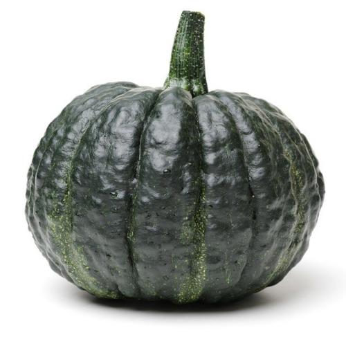 Zucca Iron Cup BIO 5kg - Corte all'olmo