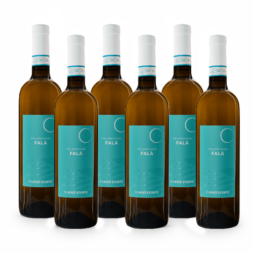 Falà Falanghina Sannio DOC - 6 bottiglie - Vigne Storte